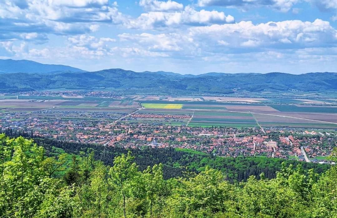 Neustadt Villa Cristian  Bagian luar foto