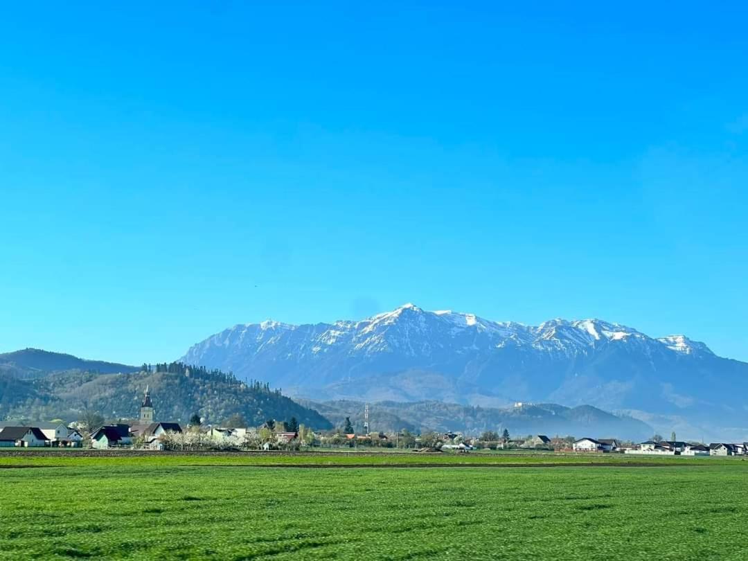 Neustadt Villa Cristian  Bagian luar foto